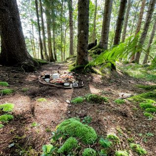 Unique forest experience in Bohinj, Slovenia