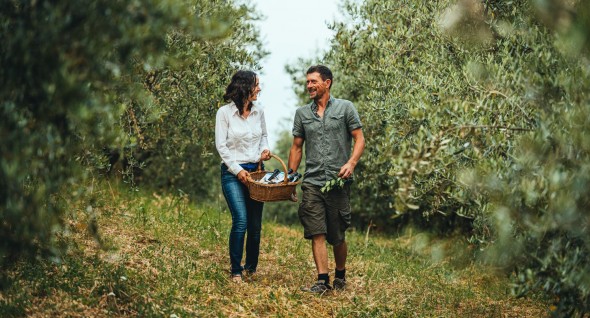Couple walking among the olive trees in Slovenia