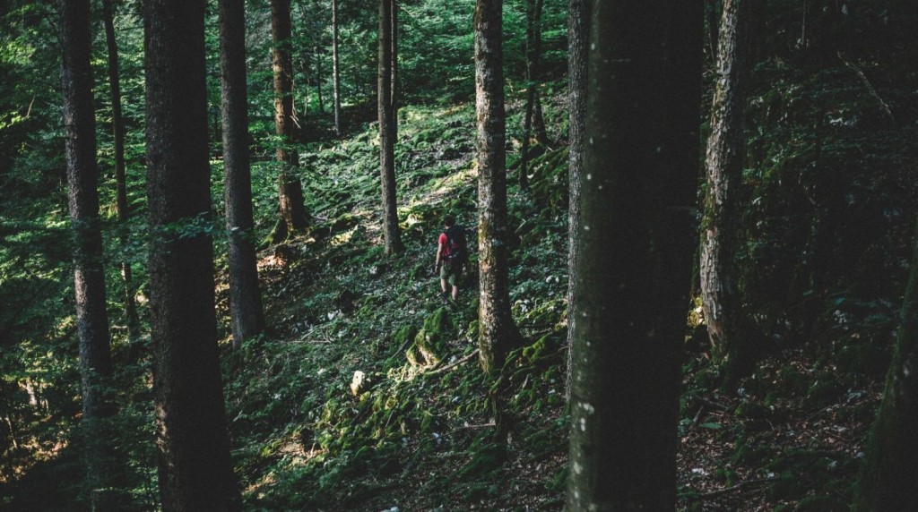 Izleti po Sloveniji, Kočevska Roška pot