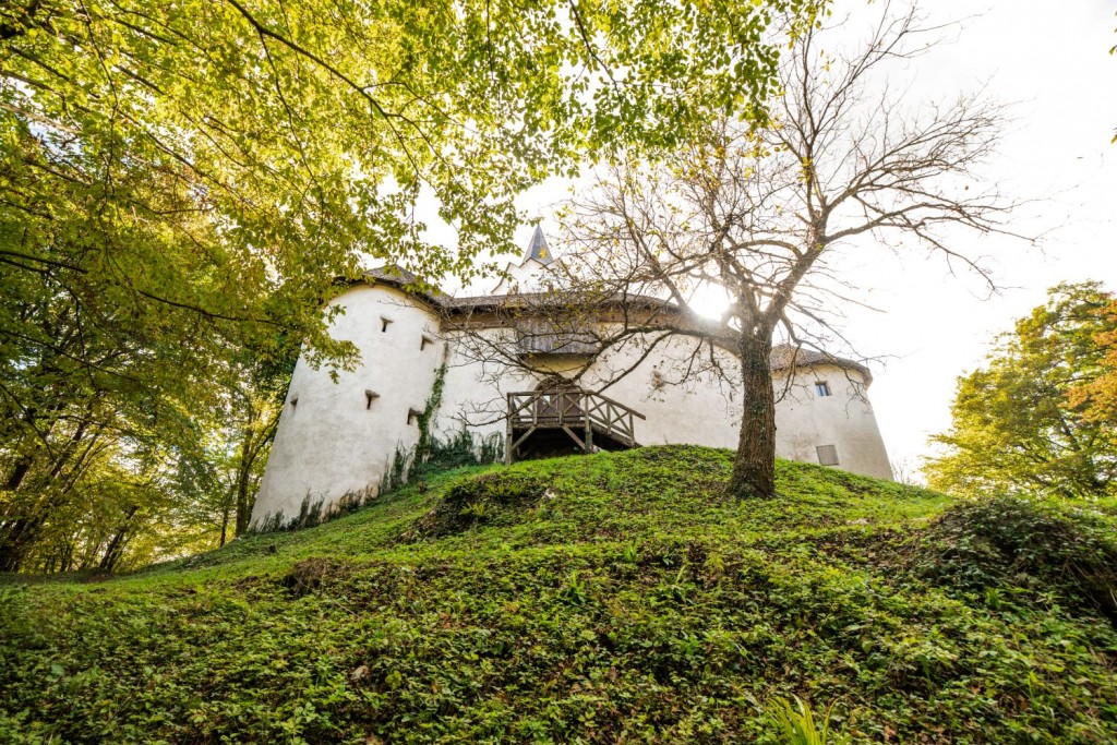 Grad Cerovo v okolici Ljubljane