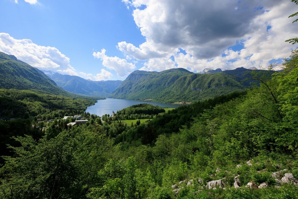 Pogled na Bohinjsko jezero iz pohodniške poti