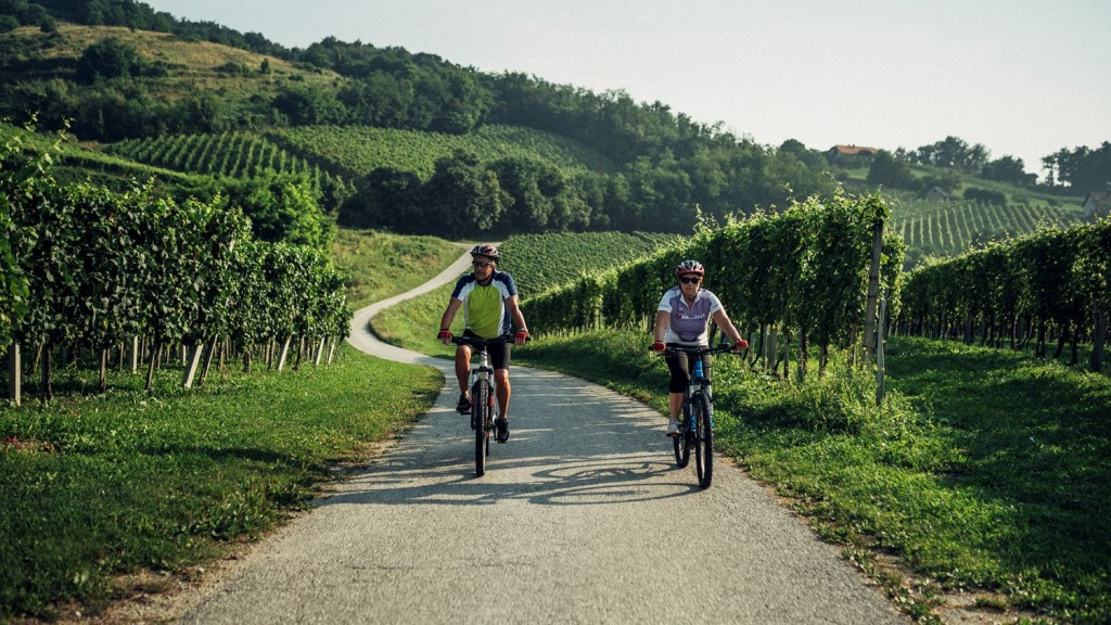 Cycling in Slovenia, Bizeljsko loop among vineyards