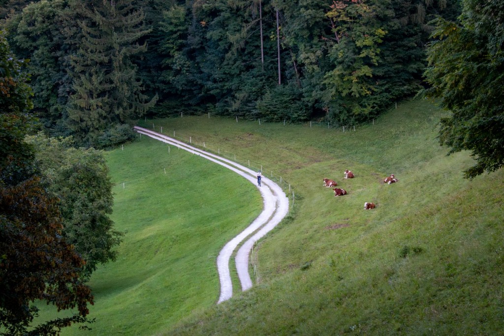 Cycling route to Rogla