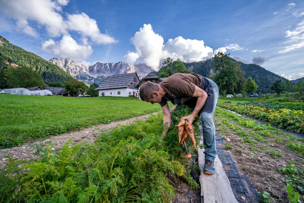 A man farming at Šenkova Domačija with a backdrop of mountains
