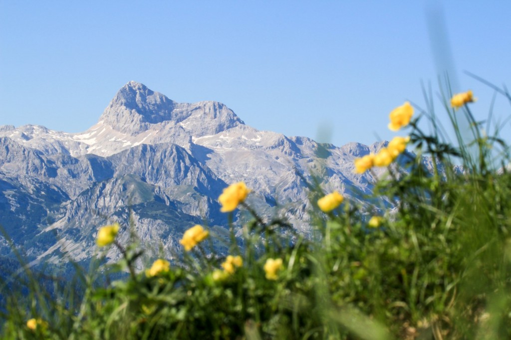 Mountain views from Bohinj