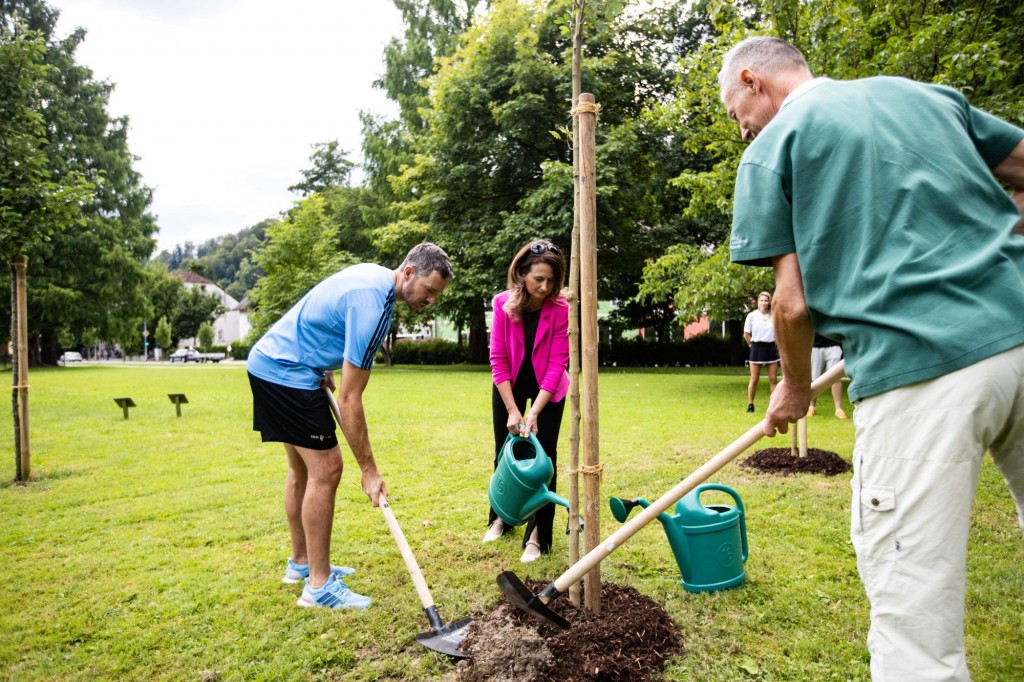 Planting weather resistant trees. 