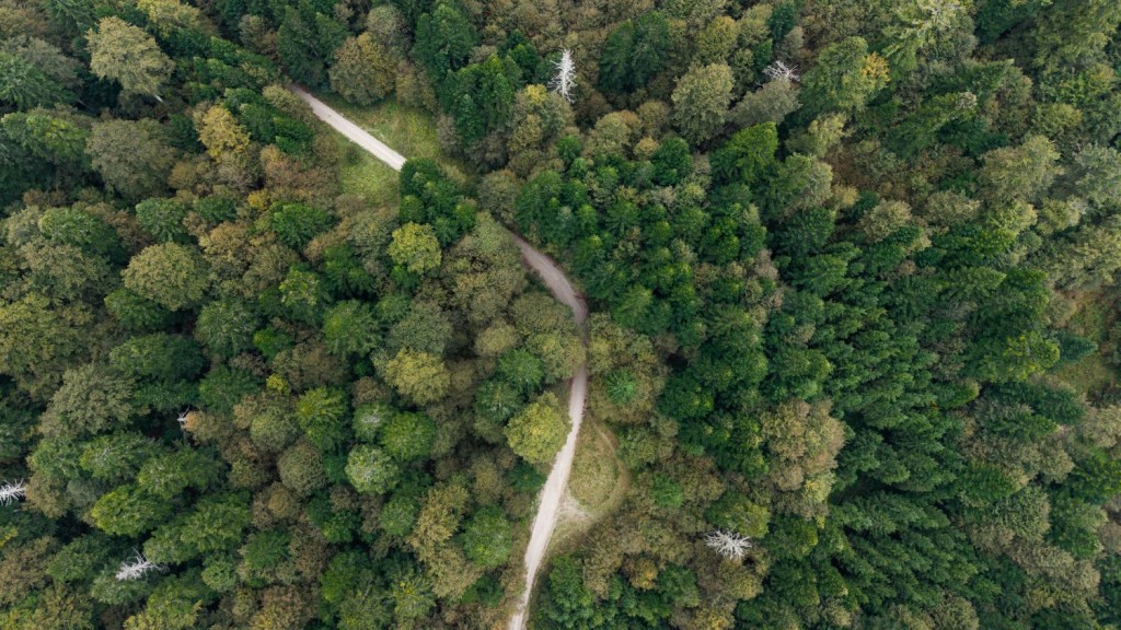 Pohodništvo v Kočevju