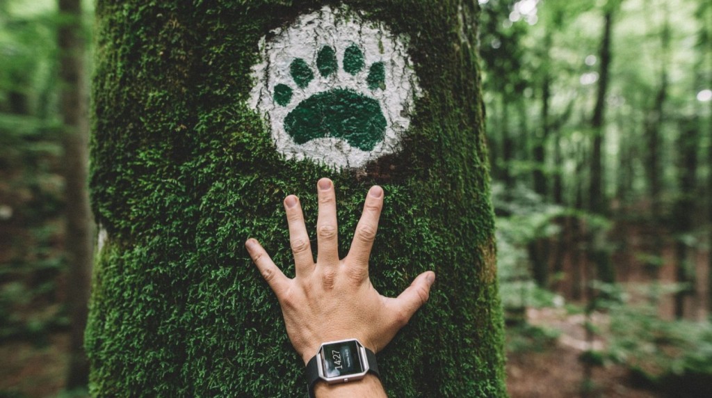 Krožna pohodniška pot v Kočevju