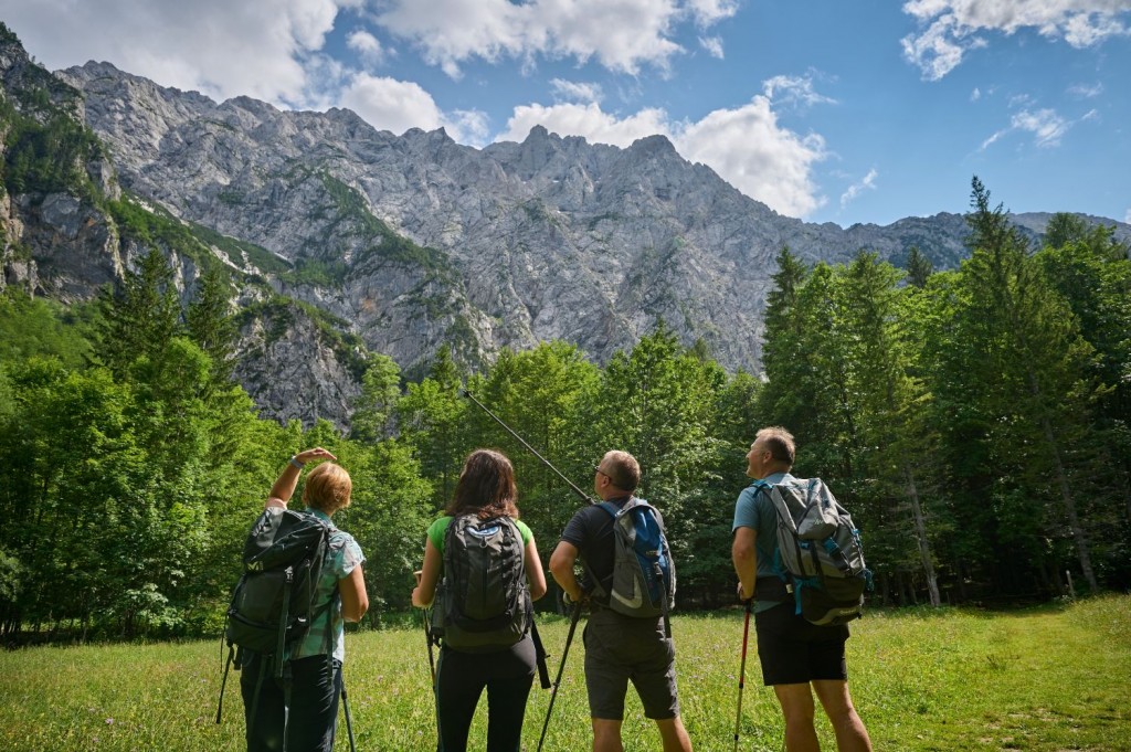 Pohodniška pot v Logarski dolini do Solčavske tise