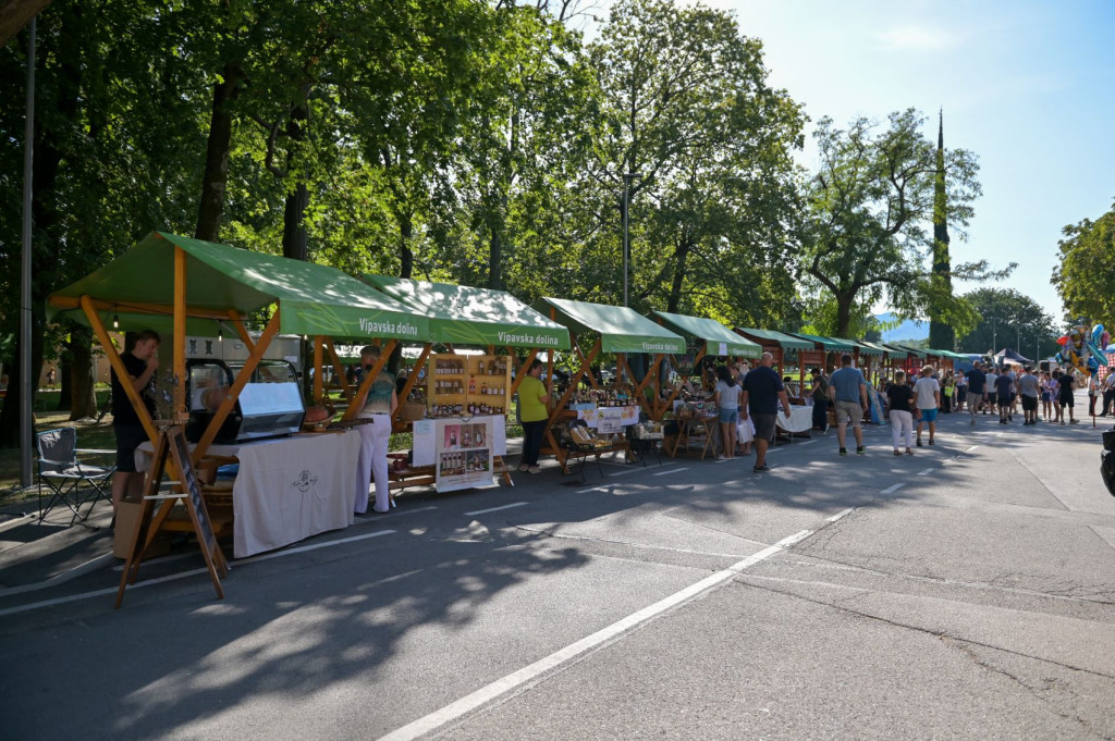 Visitors browsing local product stalls at the Vipava grape harvest festival
