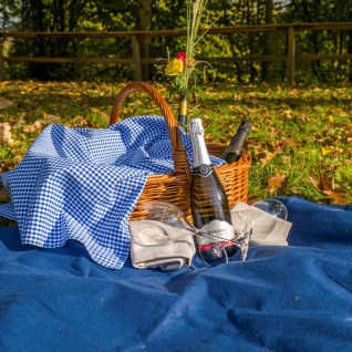 Piknik košara z lokalnimi proizvodi na travi pred RG bistrojem v Gornji Radgoni