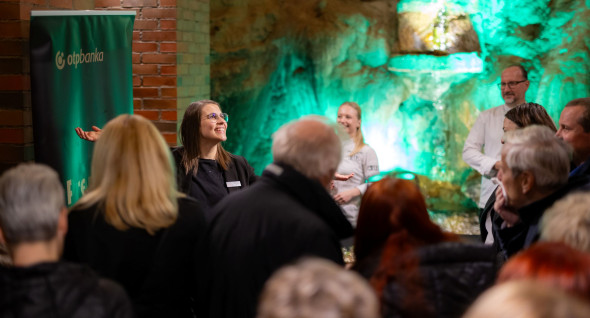 Guided tour in the historic sparkling wine cellars of RG Dom penine in Gornja Radgona