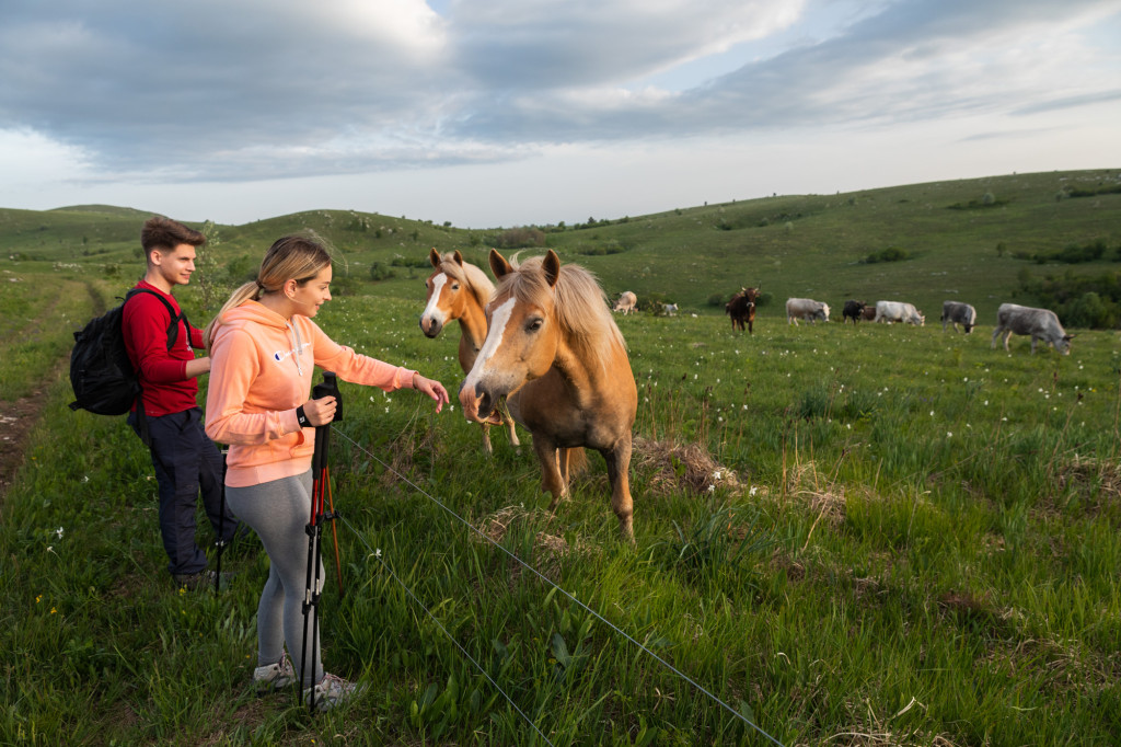 Hikers on a hike on the Karst Edge hiking trails