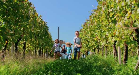 Družina se sprehaja med vinogradi v Jeruzalem Slovenija in raziskuje vinorodno pokrajino.